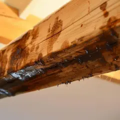Gouttes sombres suintent d'une poutre en bois, suggérant un besoin urgent de nettoyer les poutres poussiéreuses et de traiter l'humidité.