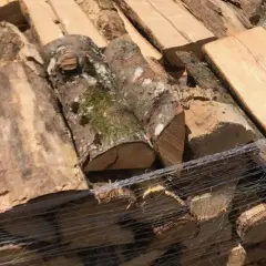 Bois empilé, prêt à sécher du bois rapidement. Des bûches de différentes tailles, certaines avec de la mousse, sont emballées dans du film plastique.