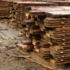 Piles de planches de bois brutes, humides et empilées, attendant la récupération.
