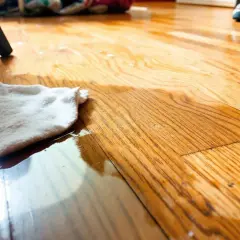 Chiffon blanc absorbant une flaque sur un parquet en bois, étape pour enlever tache urine sur parquet bois.