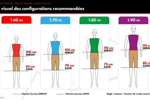 Guide visuel pour la hauteur bureau enfant et adulte. Il montre les hauteurs idéales pour travailler assis ou debout, selon la taille.