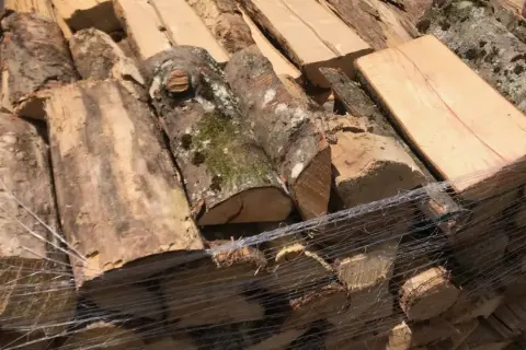 Bois empilé, prêt à sécher du bois rapidement. Des bûches de différentes tailles, certaines avec de la mousse, sont emballées dans du film plastique.