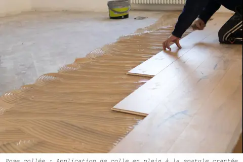 Pose de parquet collé : application de colle en plein à la spatule crantée, avant la pose des lames de bois.