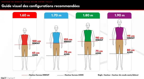 Guide visuel pour la hauteur bureau enfant et adulte. Il montre les hauteurs idéales pour travailler assis ou debout, selon la taille.
