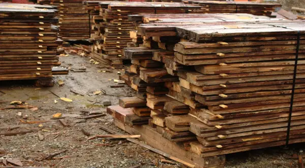 Piles de planches de bois brutes, humides et empilées, attendant la récupération.
