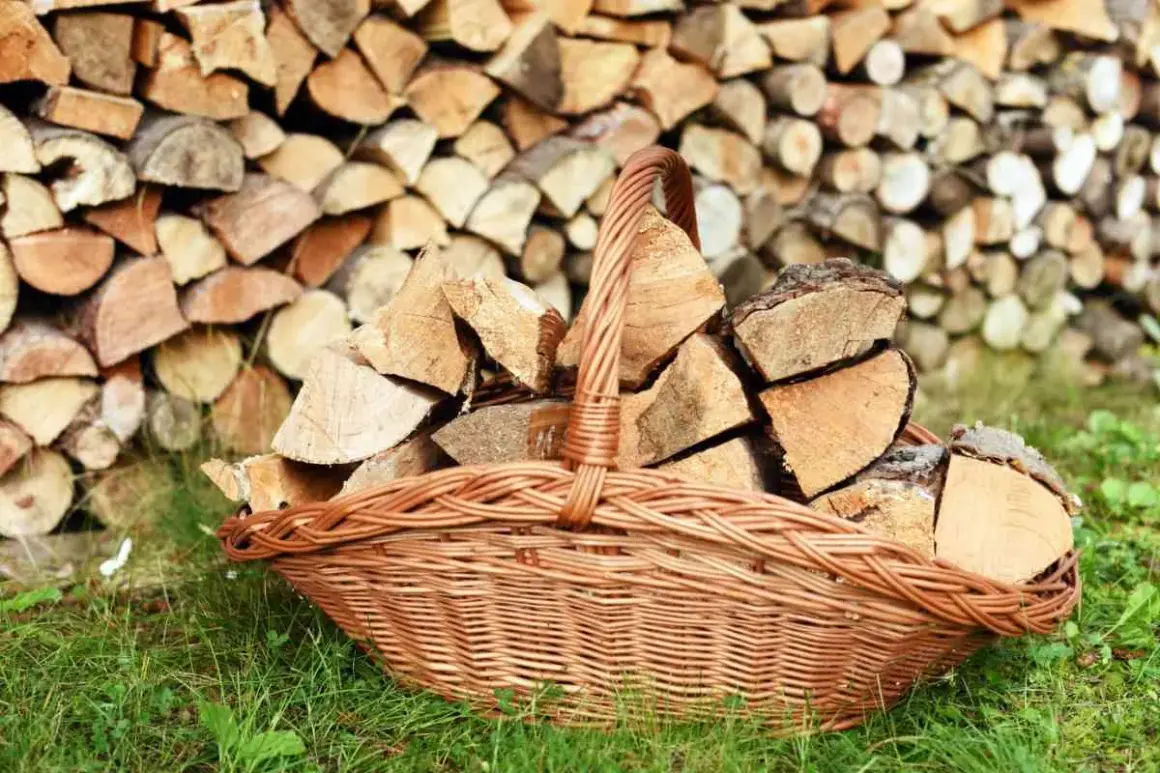 Panier en osier rempli de bois de chauffage, prêt pour le traitement du bois contre l'humidité. Le fond est un mur de bûches empilées.