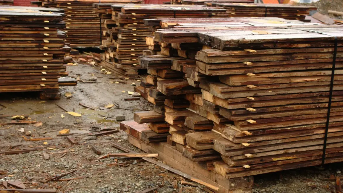 Piles de planches de bois brutes, humides et empilées, attendant la récupération.
