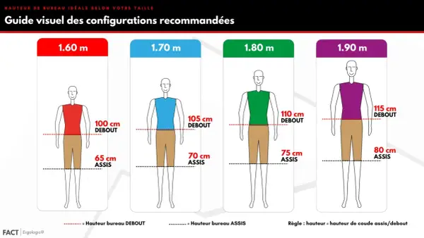 Guide visuel pour la hauteur bureau enfant et adulte. Il montre les hauteurs idéales pour travailler assis ou debout, selon la taille.