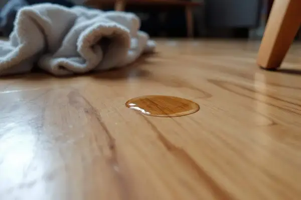 Une flaque de liquide brun sur un parquet en bois. Un tissu blanc est en arrière-plan. Comment enlever tache incrustée parquet ?
