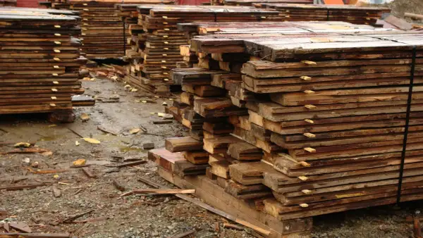 Piles de planches de bois brutes, humides et empilées, attendant la récupération.
